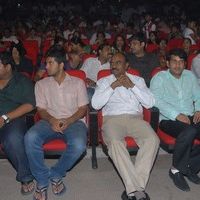 Jr NTR's Oosaravelli Audio Launch Gallery | Picture 77263